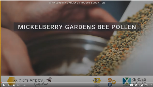 Learn More About Bee Pollen in This Educational Video!