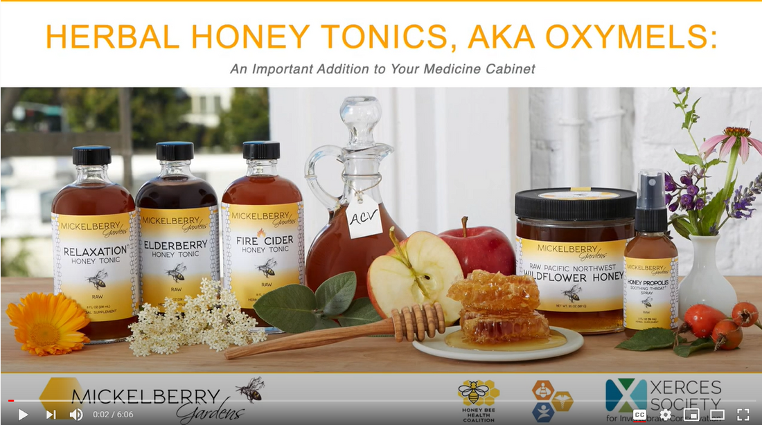 Herbal Honey Tonics, AKA Oxymels: An Important Addition to Your Medicine Cabinet