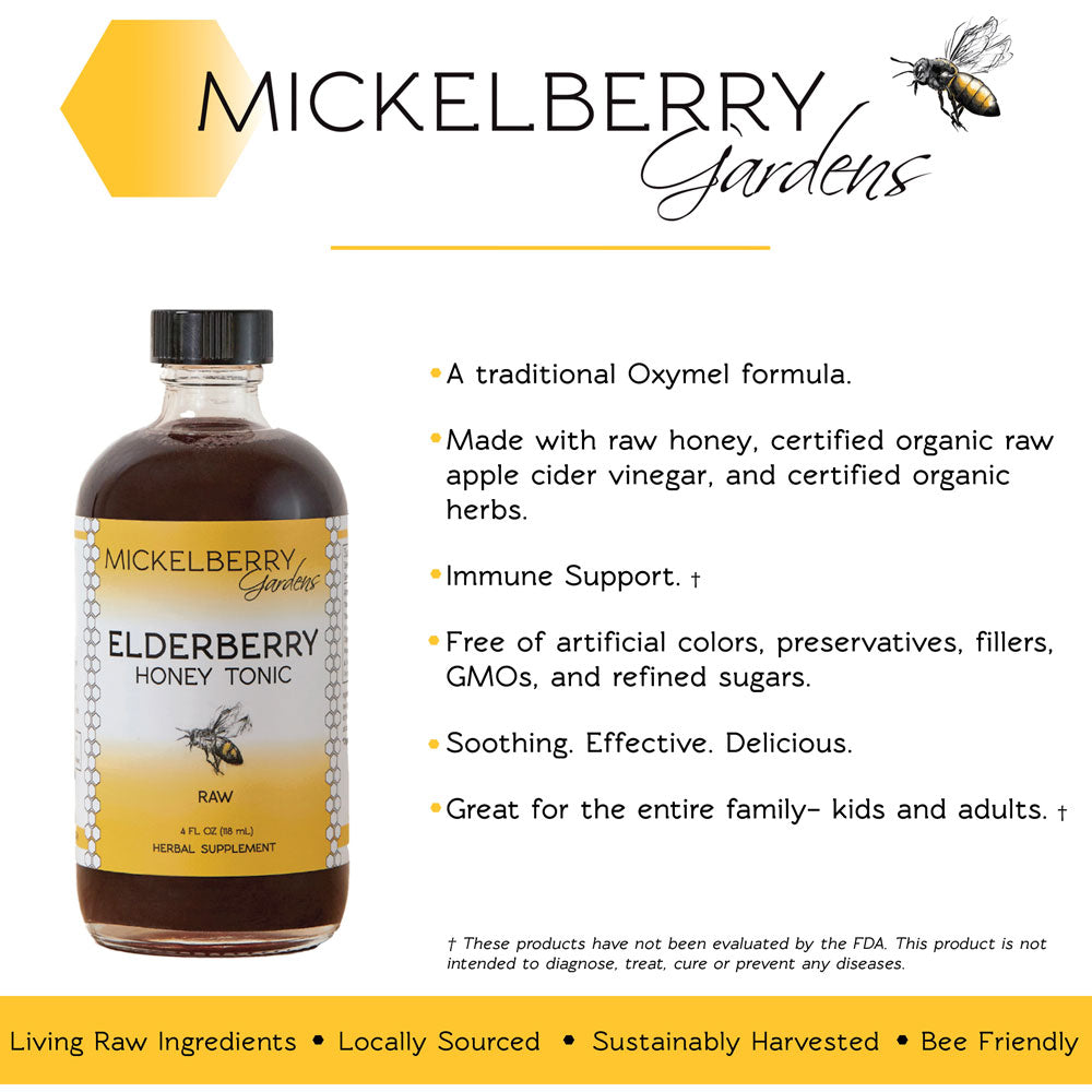 Benefits of Elderberry Honey Tonic