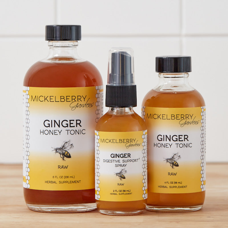 Ginger Honey Tonic natural digestive support