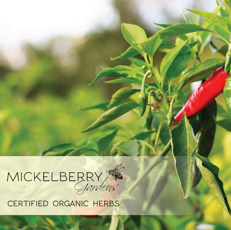 Certified organic medicinal herbs